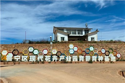 【案例故事】享譽世界的春城花都，世邦助力云南晉寧走出“芬芳”致富路