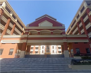 優(yōu)化IP會(huì)議擴(kuò)聲系統(tǒng)：解決回聲與噪音干擾，提升遠(yuǎn)程會(huì)議體驗(yàn)